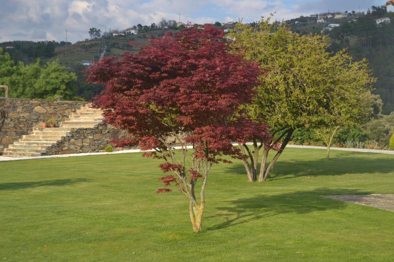 Quinta Da Portelada Peso da Regua Exterior photo